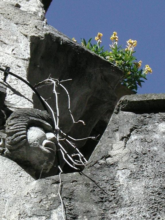 Le Relais Du Vivarais Viviers Buitenkant foto